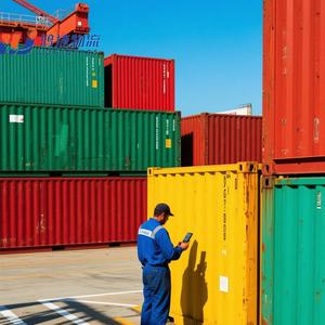 Professional DG Cargos Sensitive Sea Shipping Agent