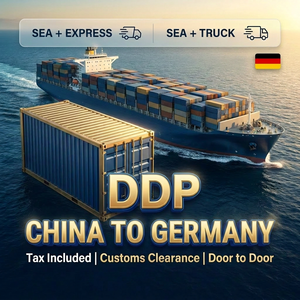Sea Shipping Agent Door to Door Delivery VAT Compliance DDP