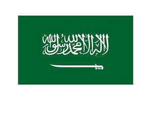 China Saudi Arabia Door-to-Door Delivery Tax Paid Service Cheap DDP Shipping For Sea/Air Freight Forwarder Product Air+Express